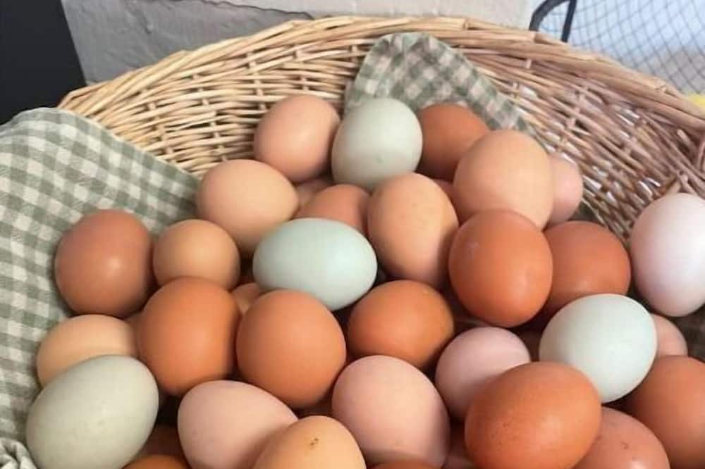 Photo of Others in Kettle Falls