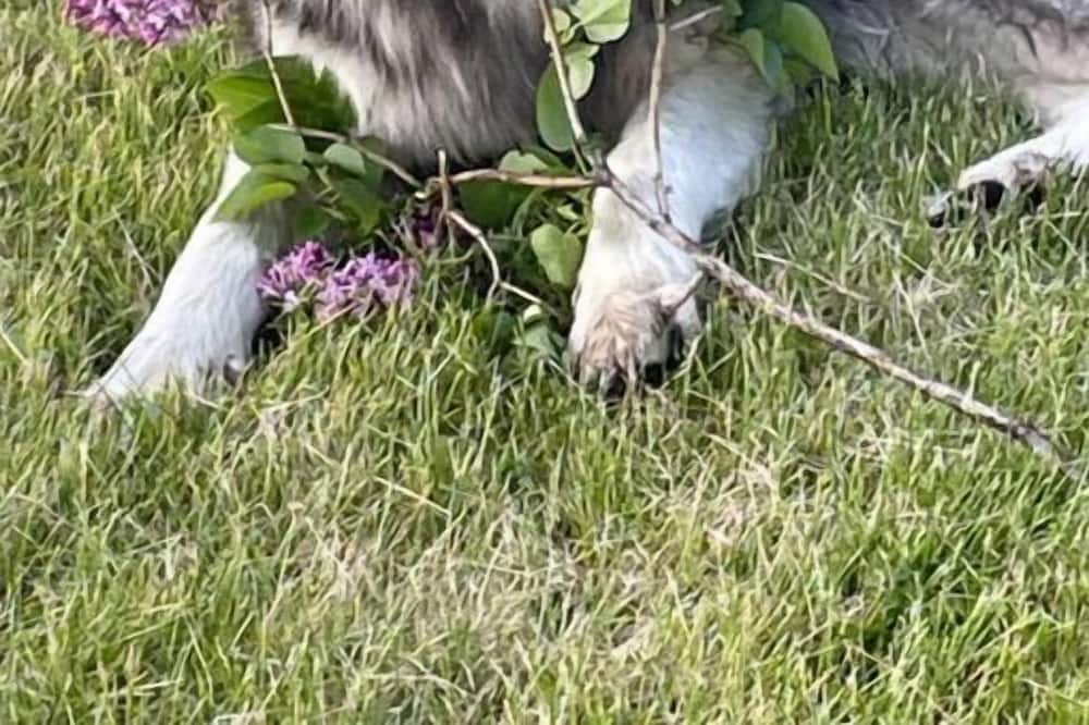 Photo of Others in Kettle Falls