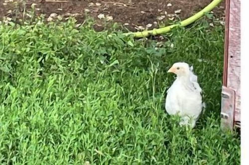 Photo of Outdoor in Kettle Falls