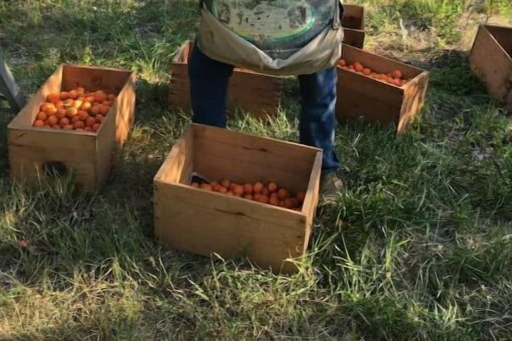 Photo of Outdoor in Kettle Falls