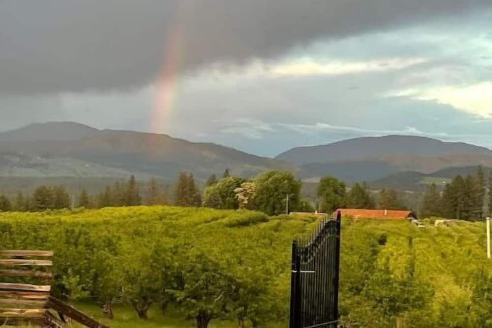 Photo of Others in Kettle Falls