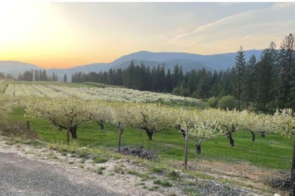 Photo of Outdoor in Kettle Falls