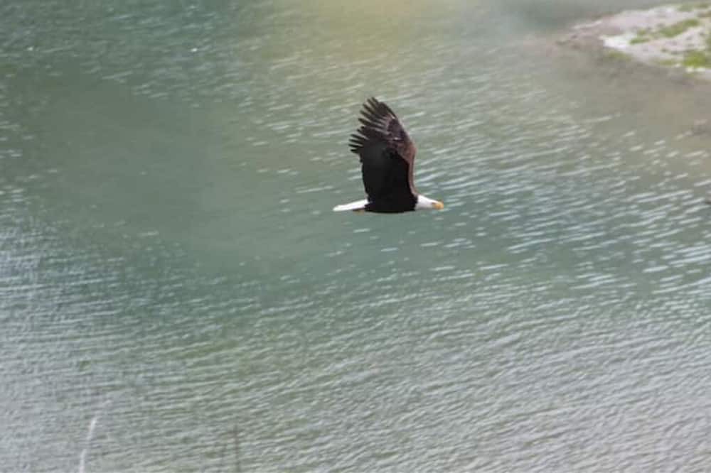 Photo of Others in Kettle Falls