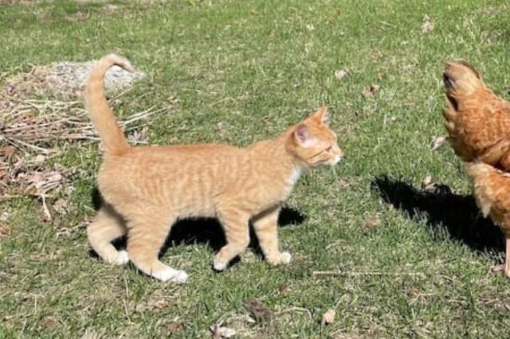 Photo of Others in Kettle Falls