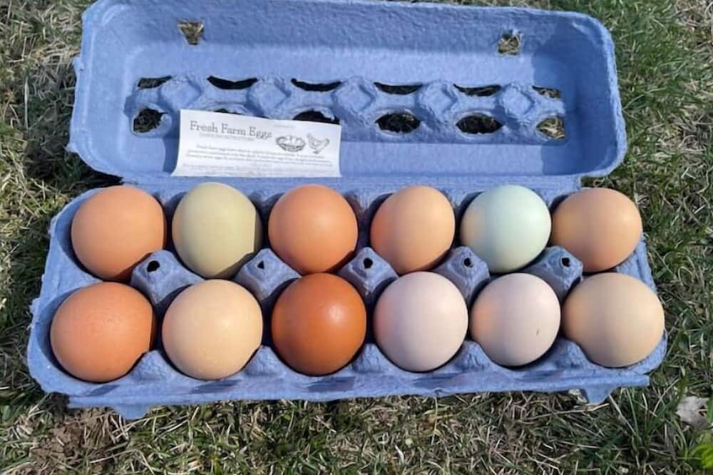 Photo of Others in Kettle Falls