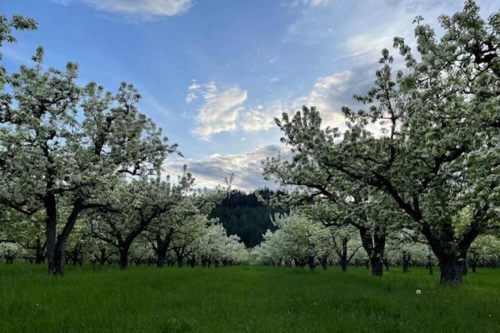 Photo of Outdoor in Kettle Falls