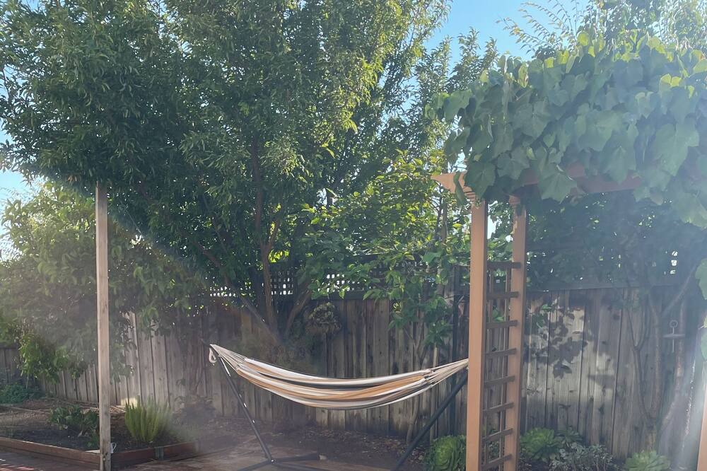 Photo of Outdoor in Lathrop