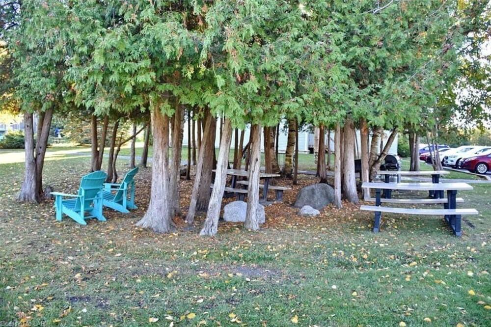Photo of Outdoor in Collingwood