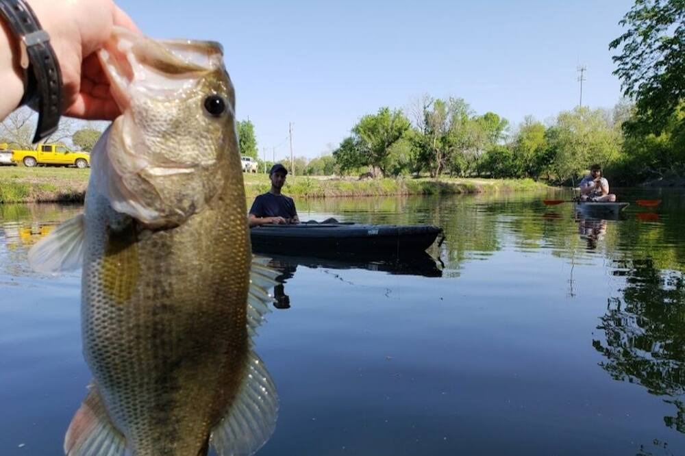 Photo of Others in Tishomingo