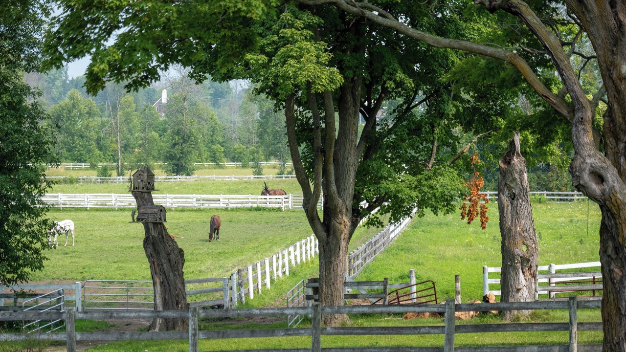 Photo of Outdoor in Ramara