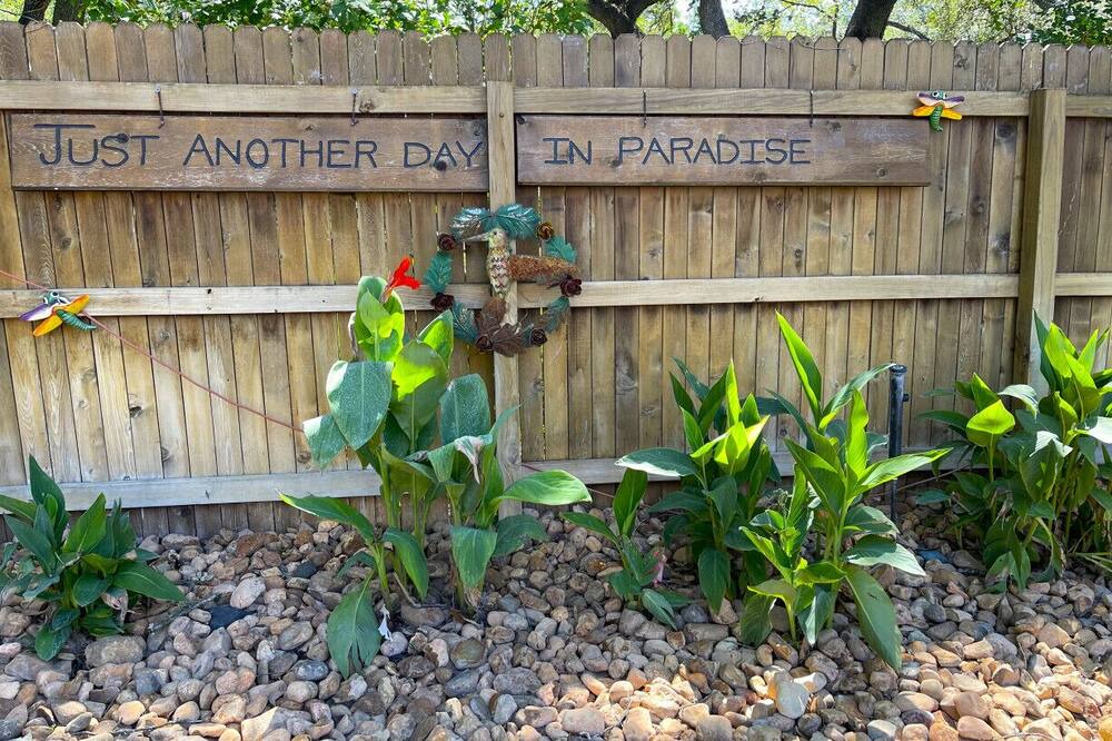 Photo of Outdoor in North San Antonio - SAT