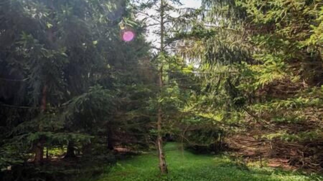 Photo of Outdoor in Town of Jerusalem