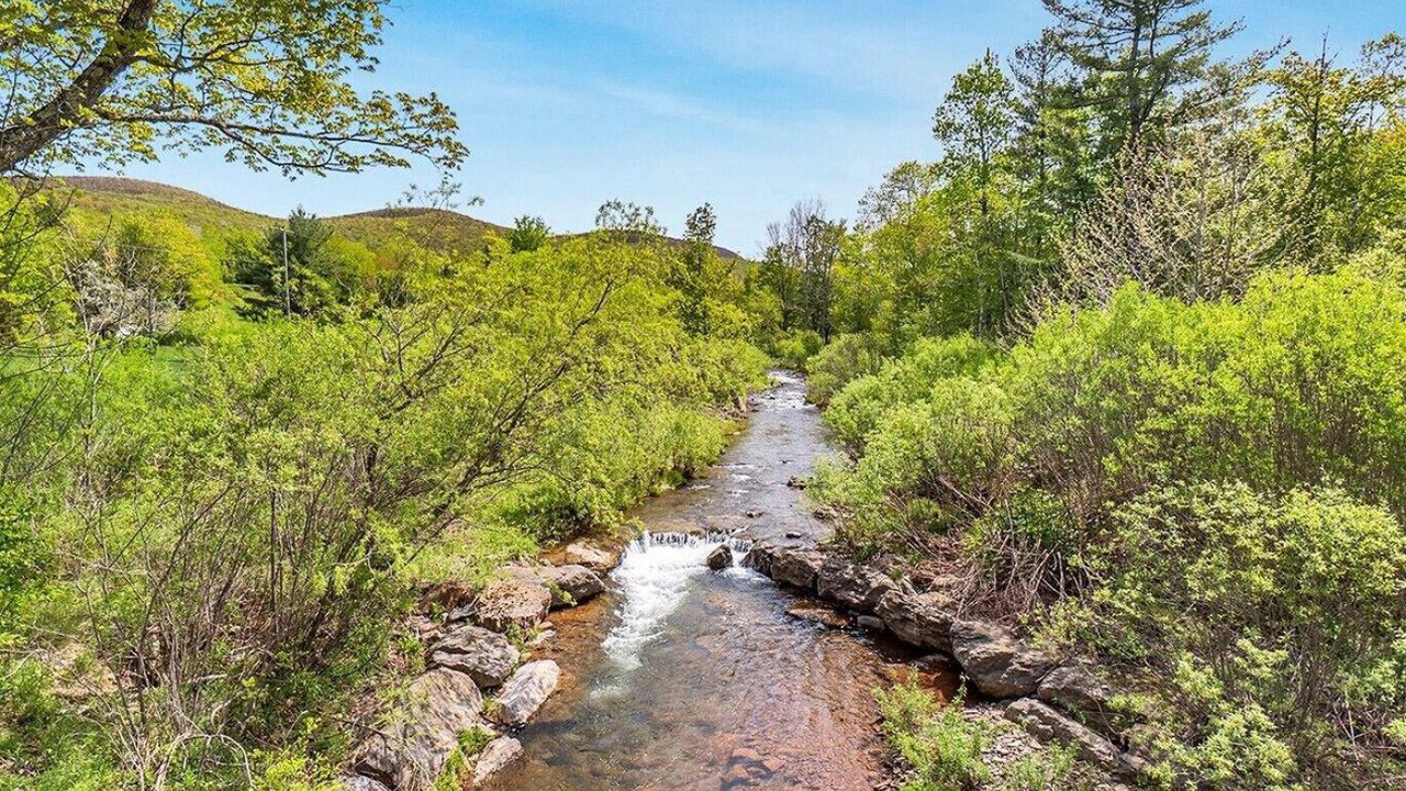 Photo of Others in Maplecrest