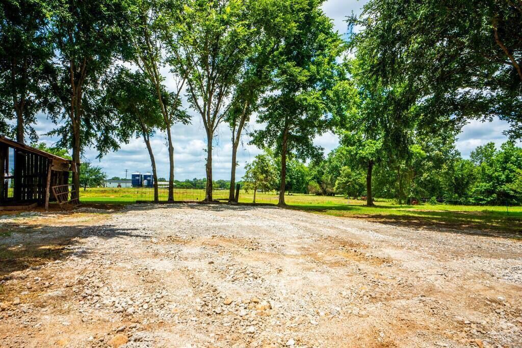 Photo of Outdoor in Gilmer