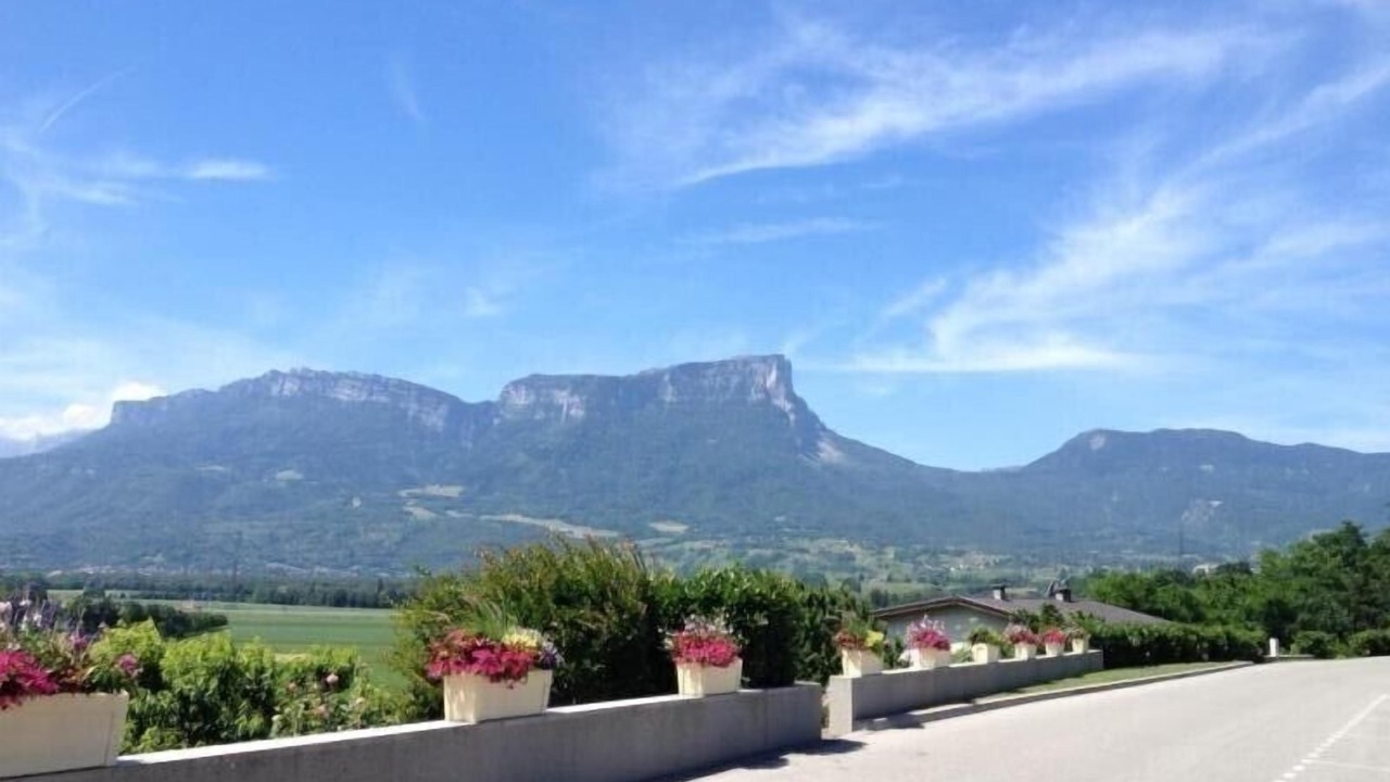 Photo of Others in Francin