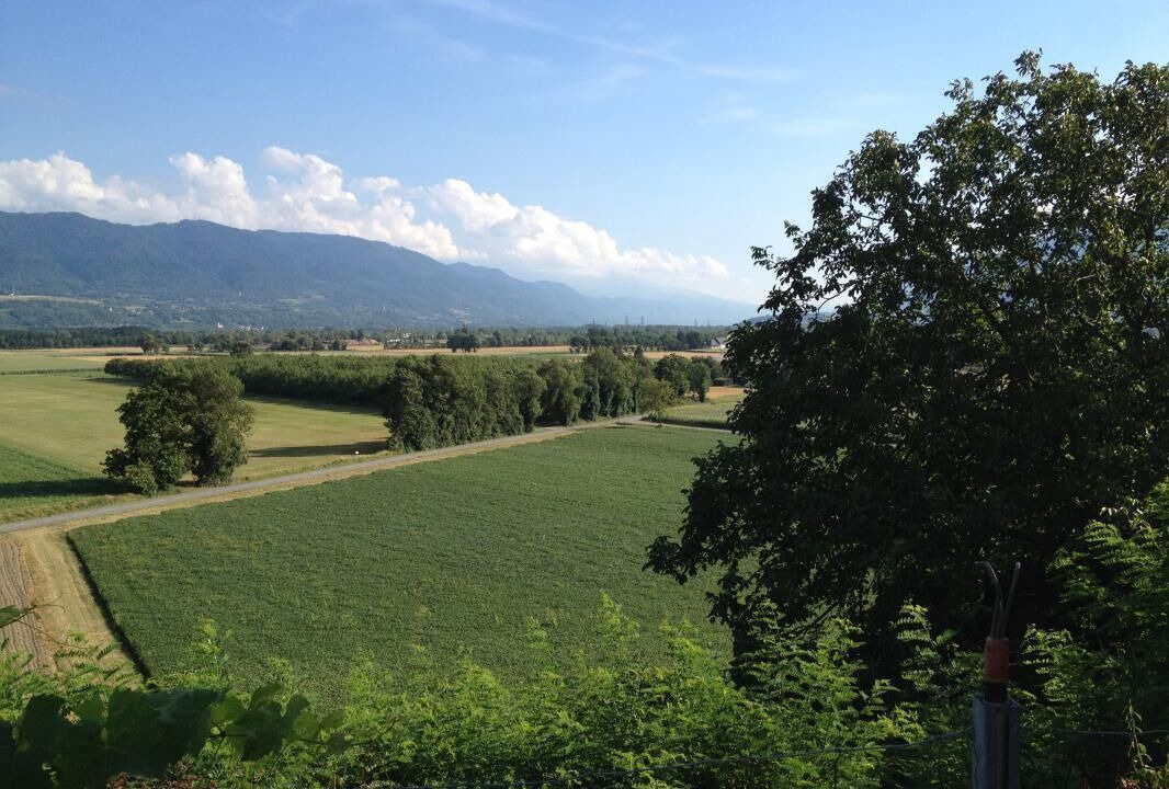 Photo of Others in Francin