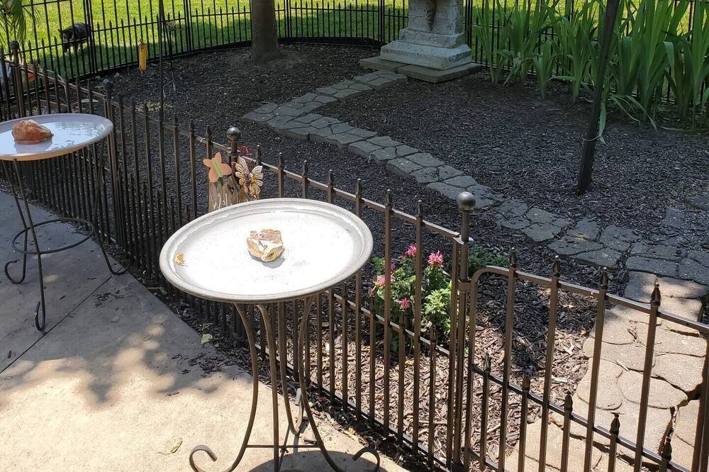 Photo of Others in Springfield