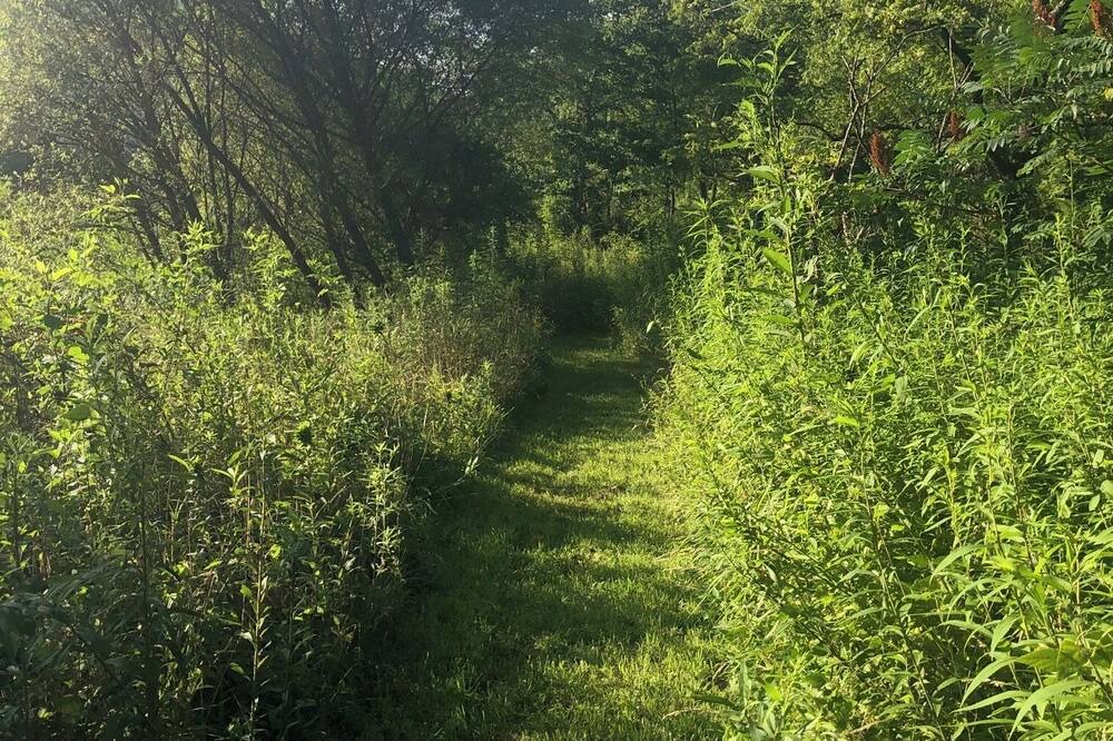 Photo of Outdoor in Bakersville