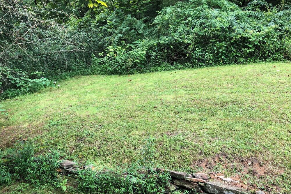 Photo of Outdoor in Bakersville