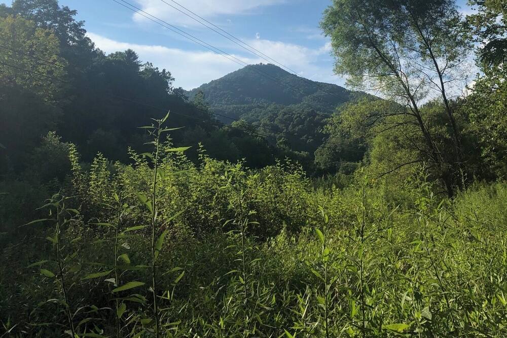 Photo of Others in Bakersville