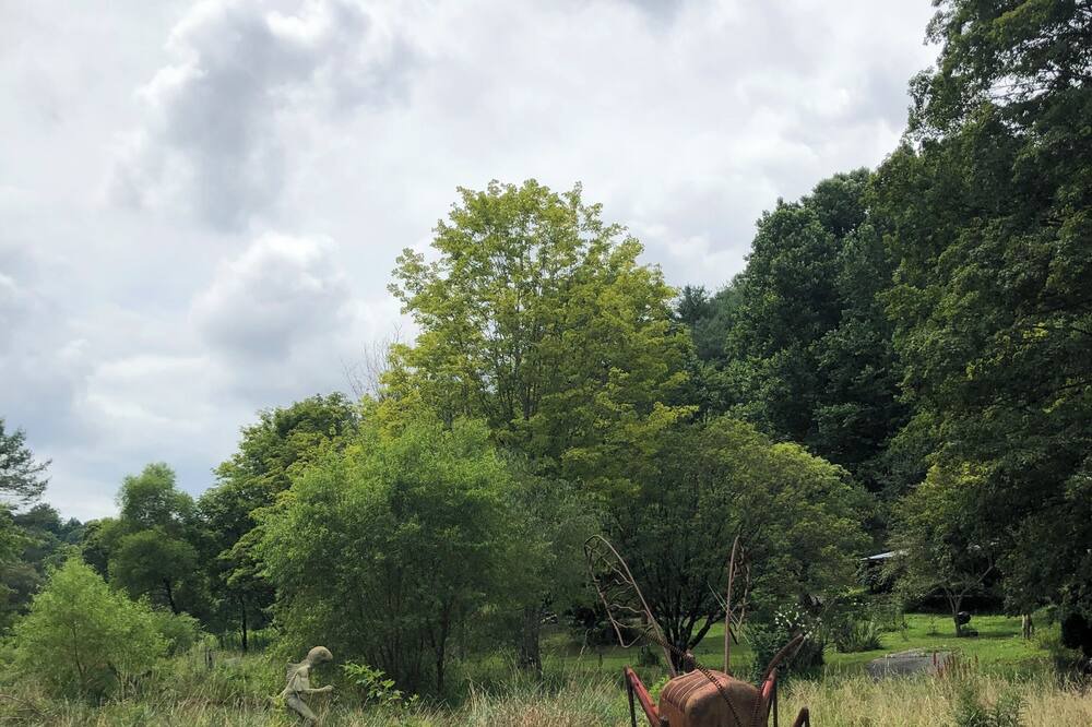 Photo of Outdoor in Bakersville