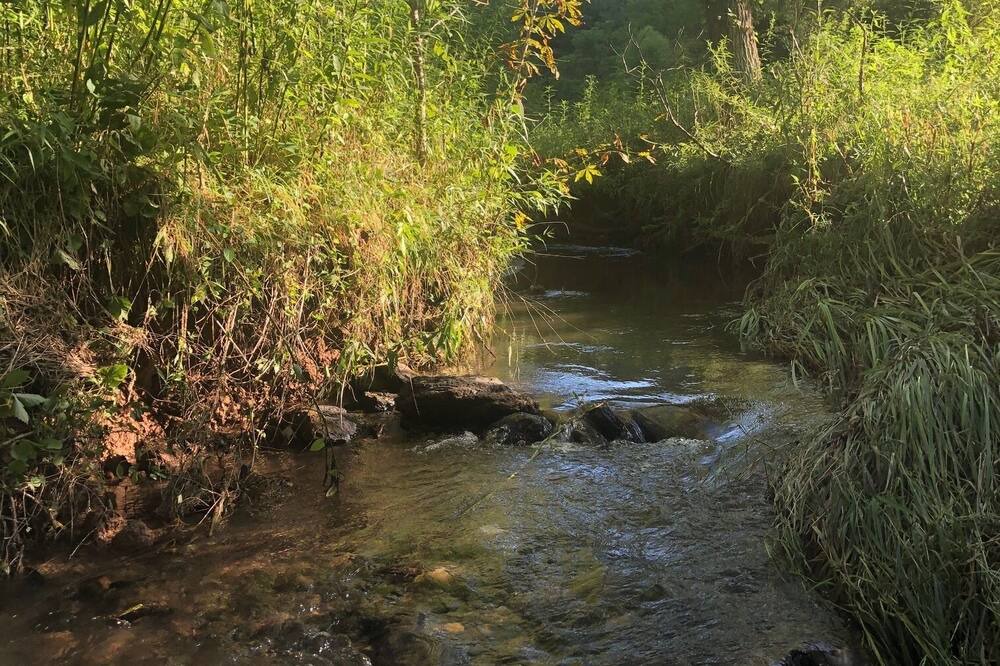 Photo of Outdoor in Bakersville