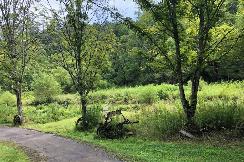 Photo of Outdoor in Bakersville