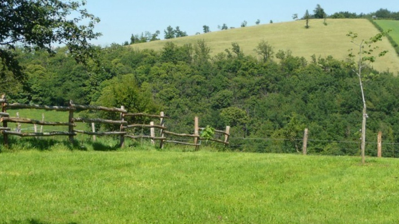 Photo of Outdoor in Saint-Constant-Fournoules