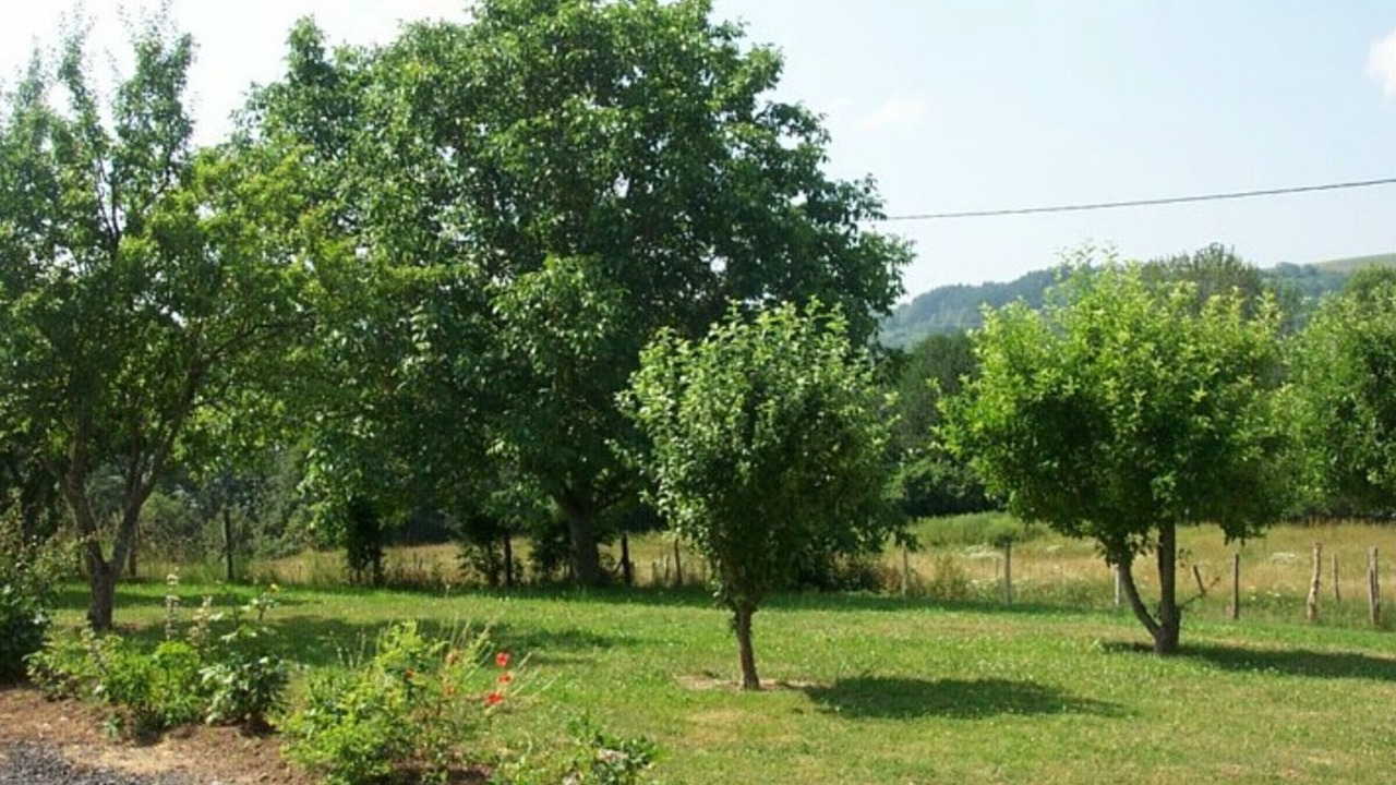 Photo of Outdoor in Saint-Cernin