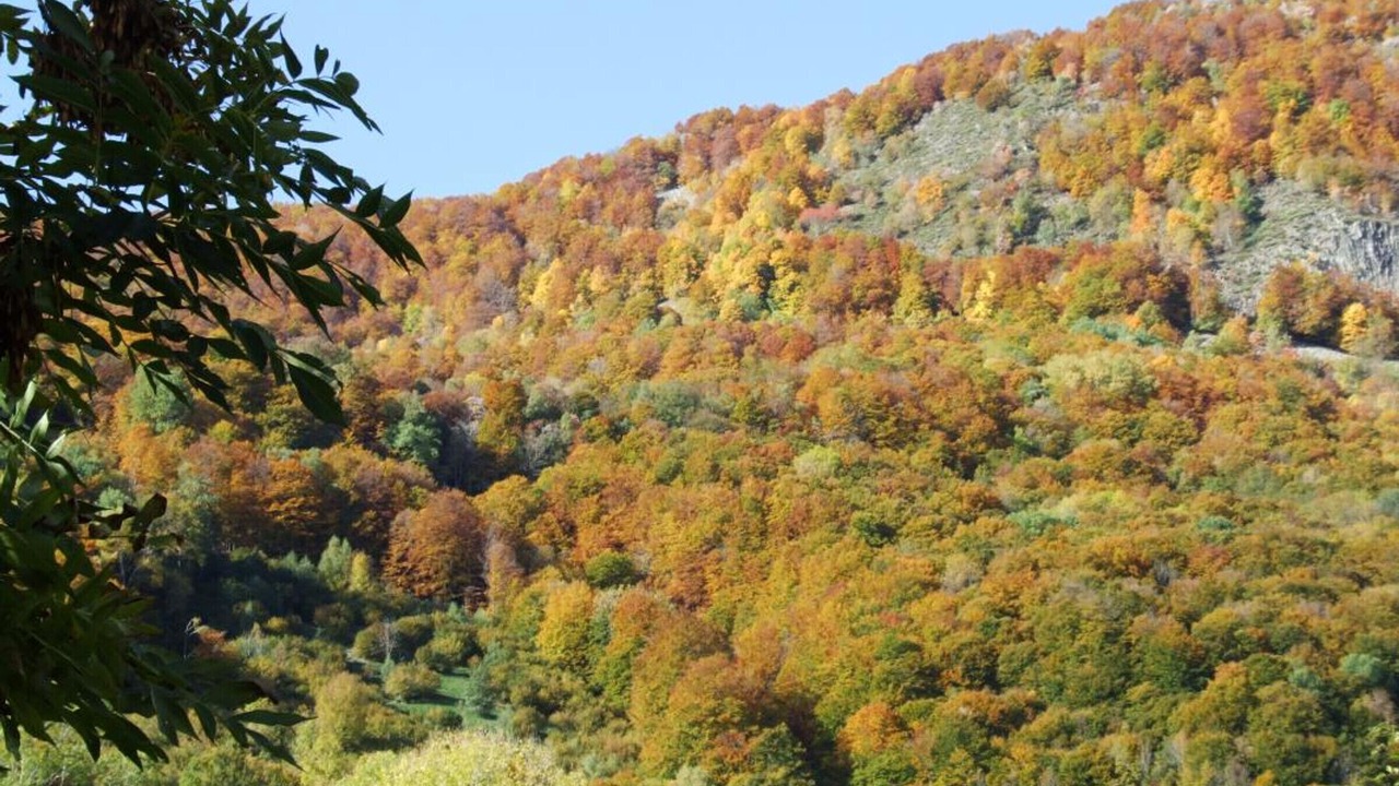 Photo of Outdoor in Brezons