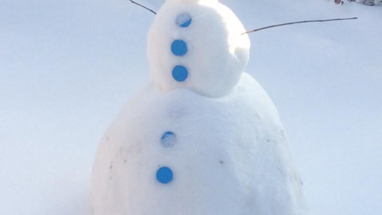 Photo of Outdoor in Brezons