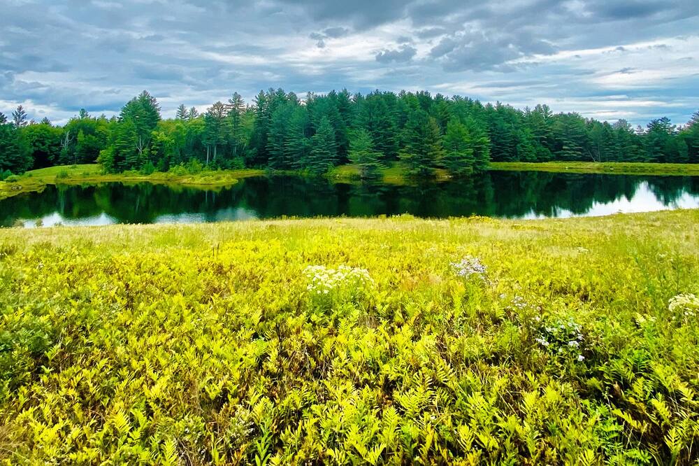 Photo of Others in Londonderry