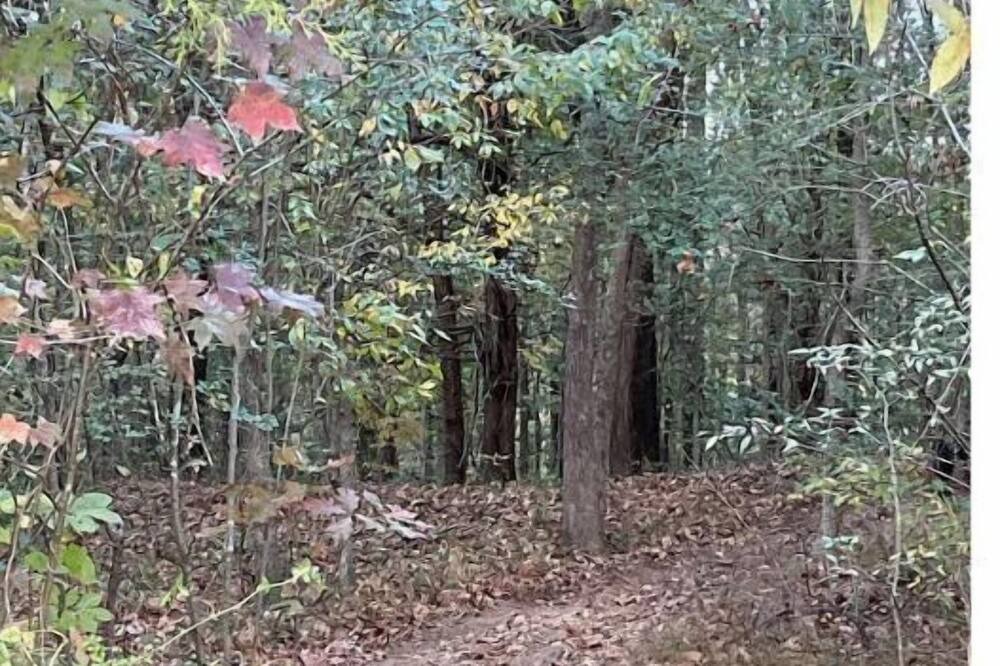Photo of Outdoor in Jackson