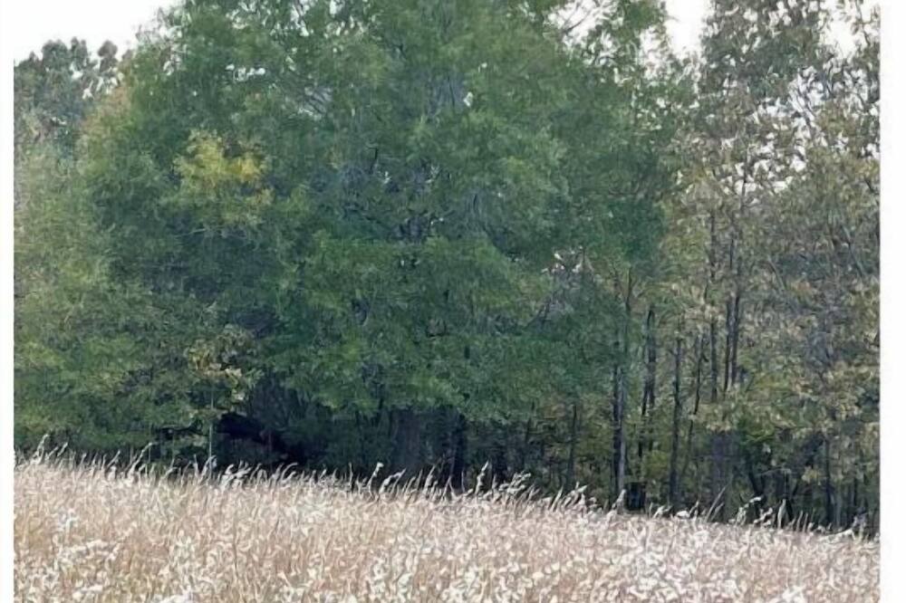Photo of Outdoor in Jackson