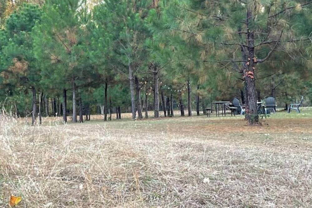 Photo of Others in Jackson
