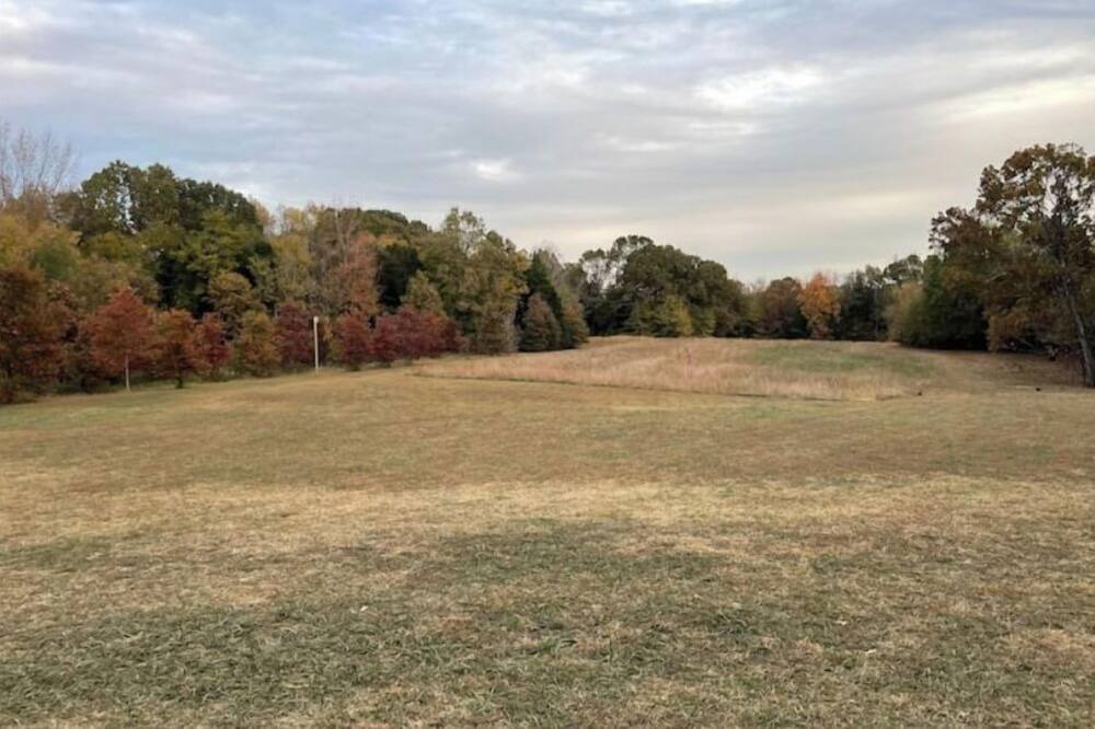 Photo of Others in Jackson