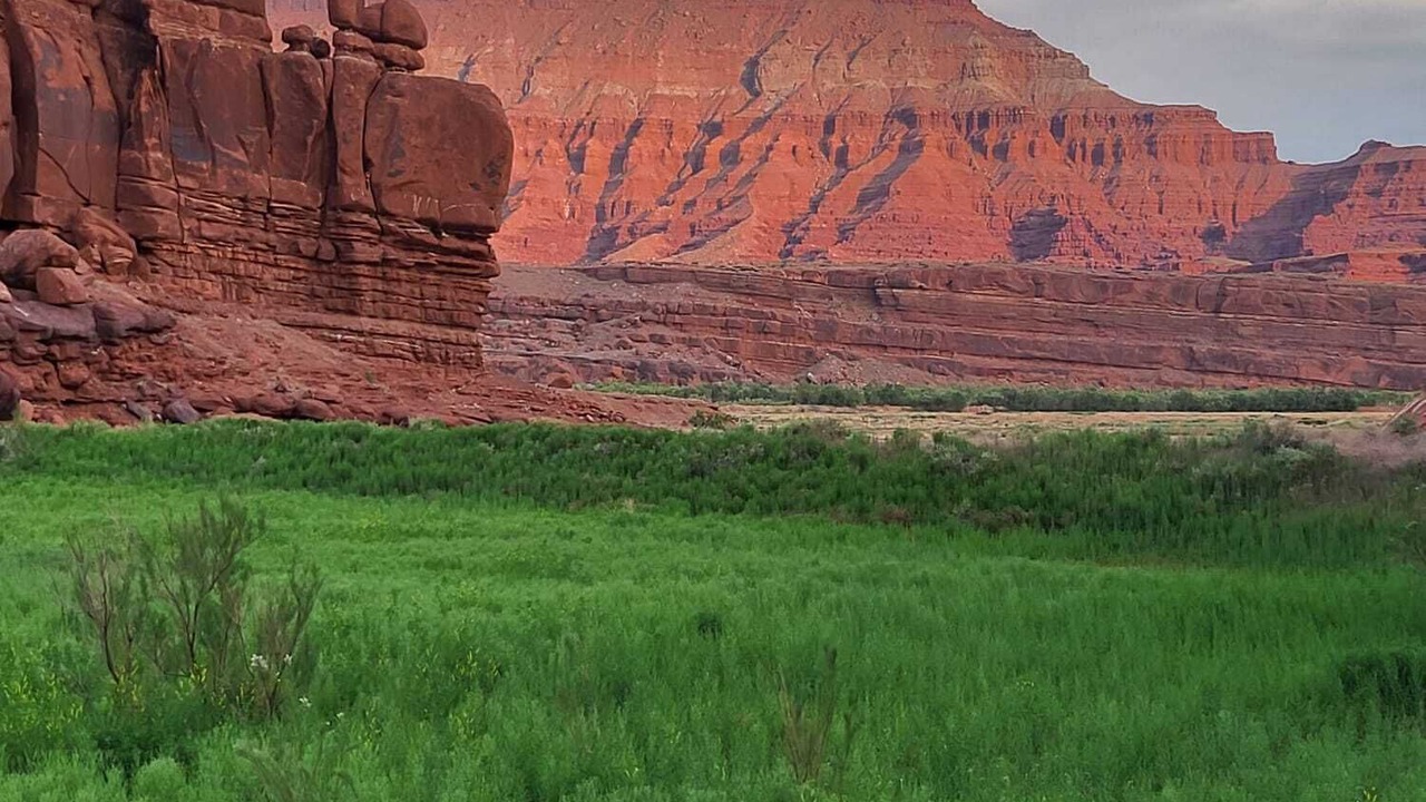 Photo of Others in Moab
