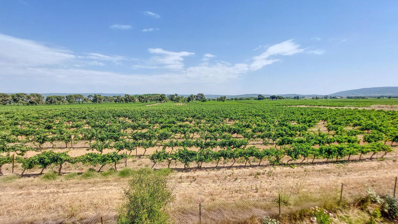 Photo of Others in Olonzac