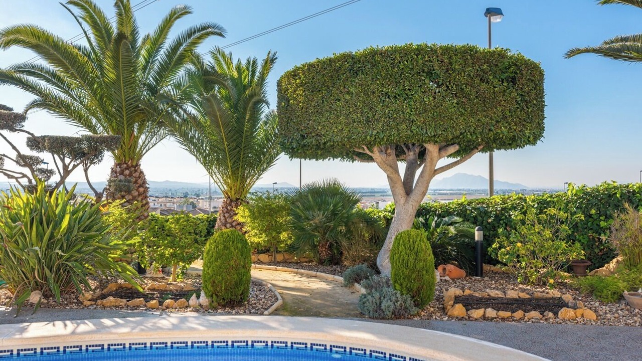 Photo of Outdoor in San Fulgencio