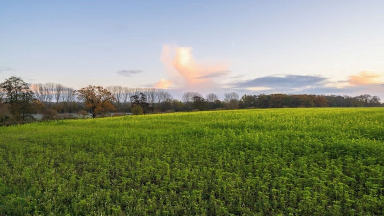 Photo of Others in Abbots Salford