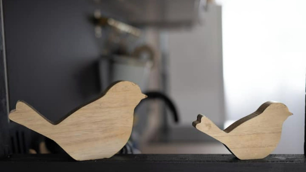 Photo of Others in Guingamp