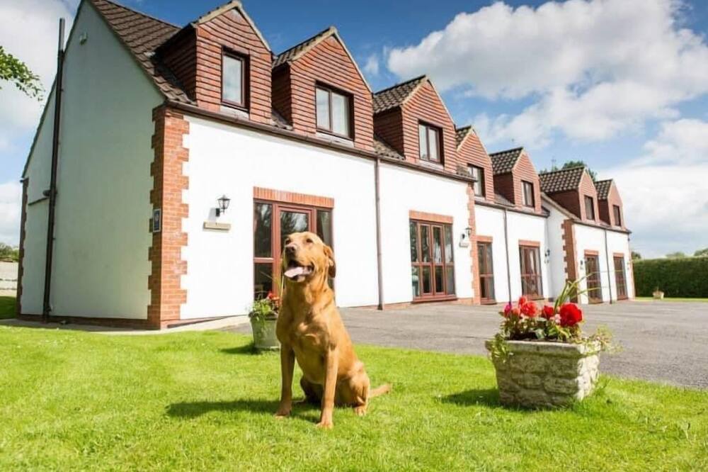 Photo of Others in Thirsk