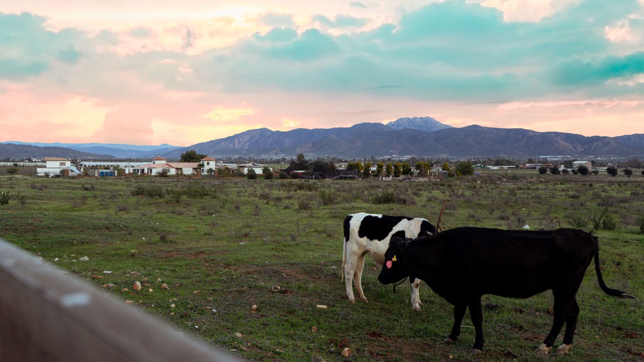 Photo of Outdoor in Valle de Guadalupe