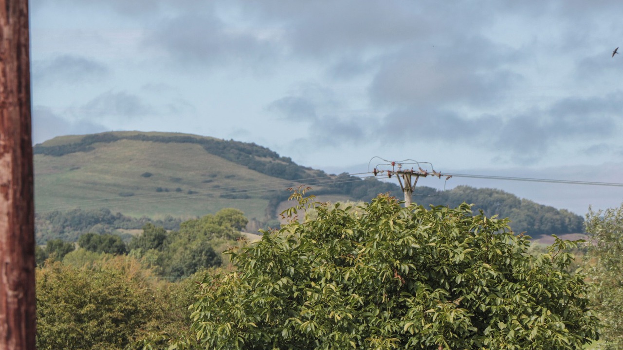 Photo of Others in Highbridge