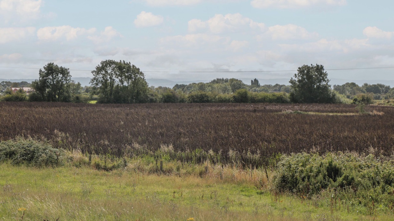 Photo of Outdoor in Highbridge