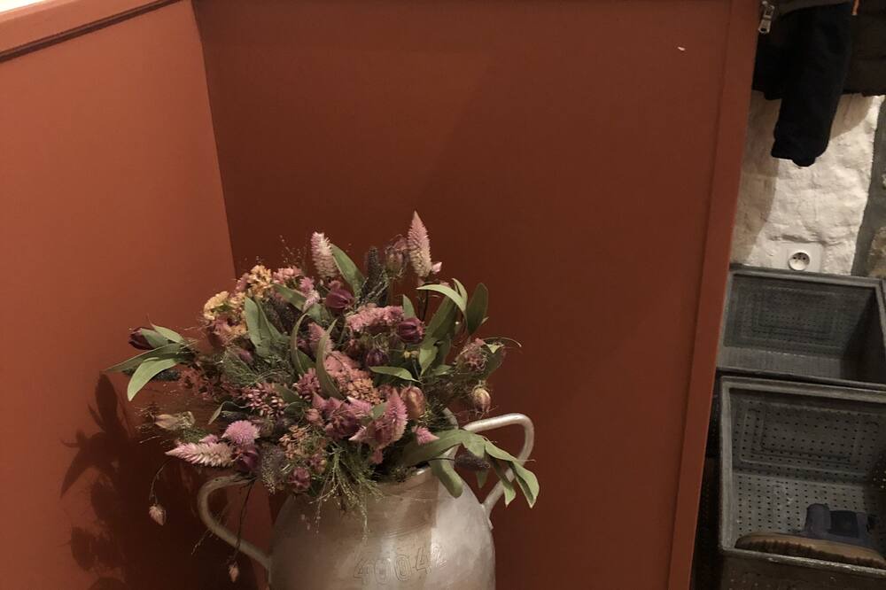 Photo of Others in Vauville