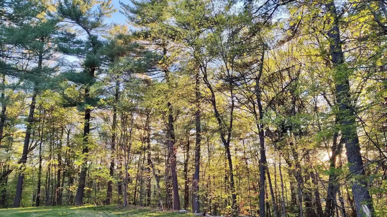 Photo of Others in Rhinebeck