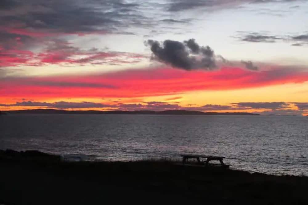 Photo of Others in Bonavista