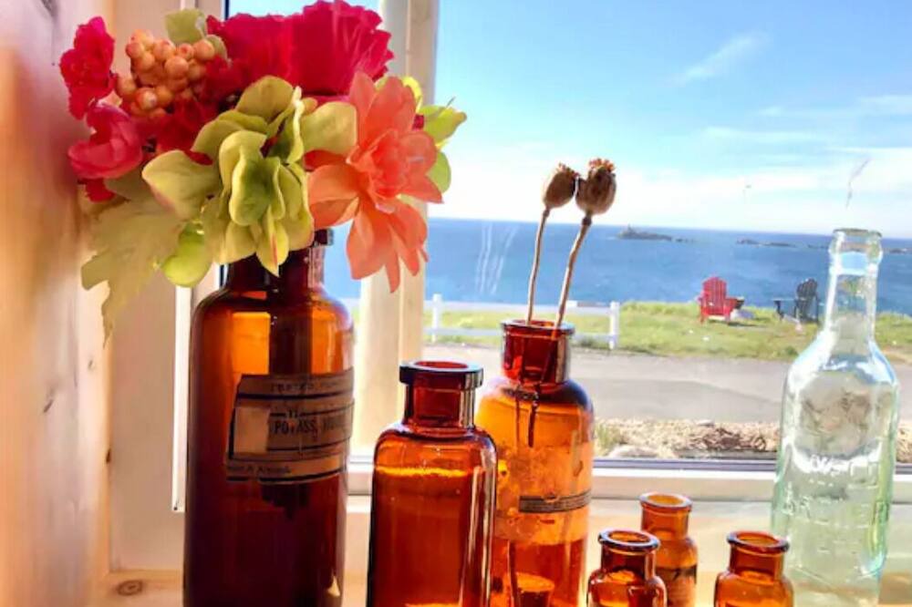 Photo of Others in Bonavista