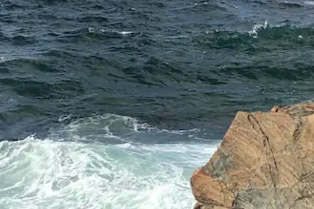 Photo of Others in Bonavista